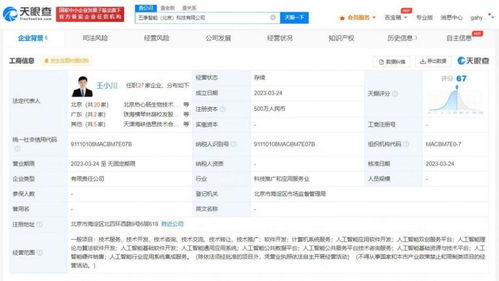 王小川五季智能啟航 打造中國(guó)版OpenAI的人工智能基礎(chǔ)軟件新篇章